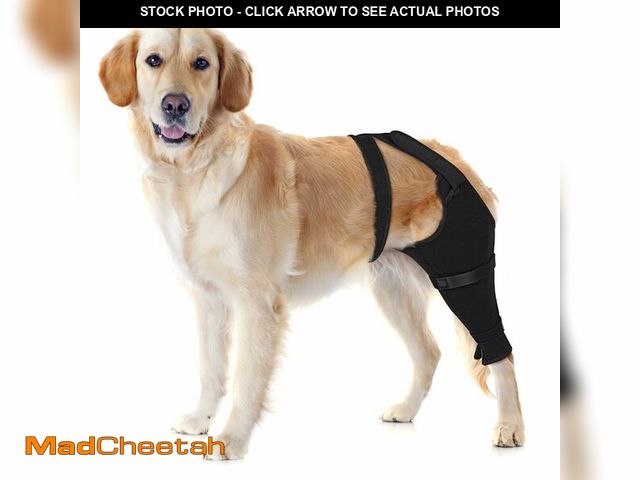 Lot 74-12713480 - Joypig Dog Rear Leg Sleeve to Stop Licking, Surgical Sleeve for Recovery After TPLO, ACL, Wound Cove...