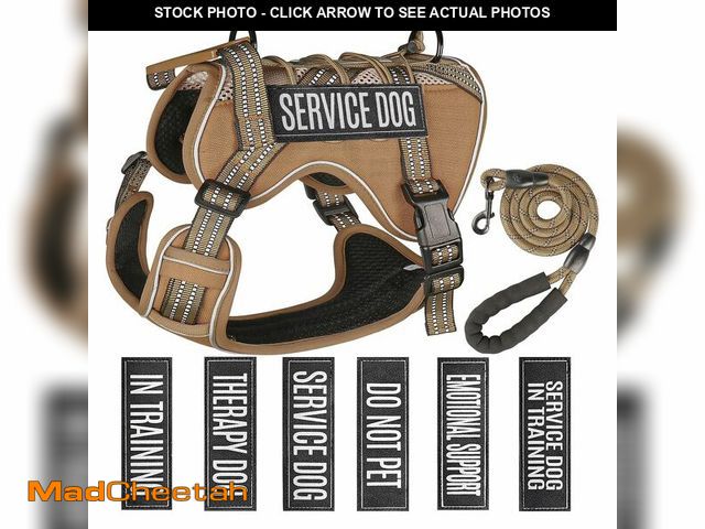 Lot 74-13954235 - Service Dog Tactical Vest Harness and Leash Set Medium Sized Dog Emotional Support- Tactical Dog Har...