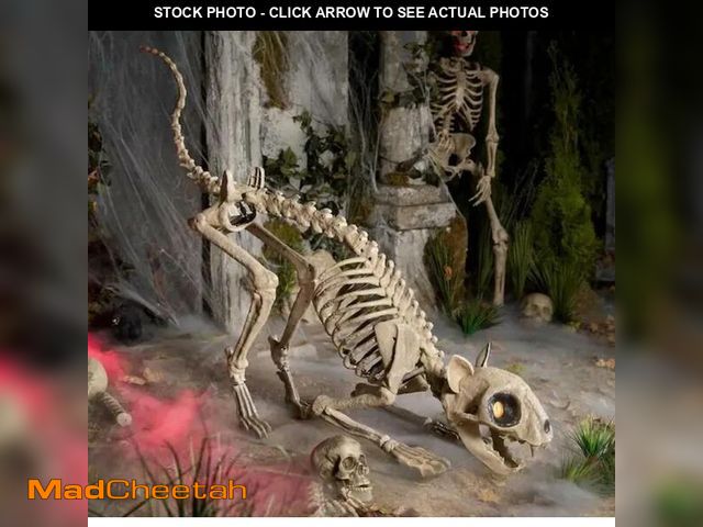 Lot 74-12900514 - 5 Ft. Long Grave &amp; Bones LED Skelly'S Cat H21 - UNUSED