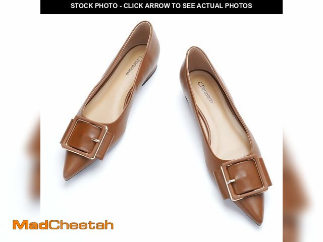 Lot 74-14424439 - C.Paravano Women's Flats | Pointed Toe Ballet Shoes | Work Shoes for Women | Comfortable Flats (Size...