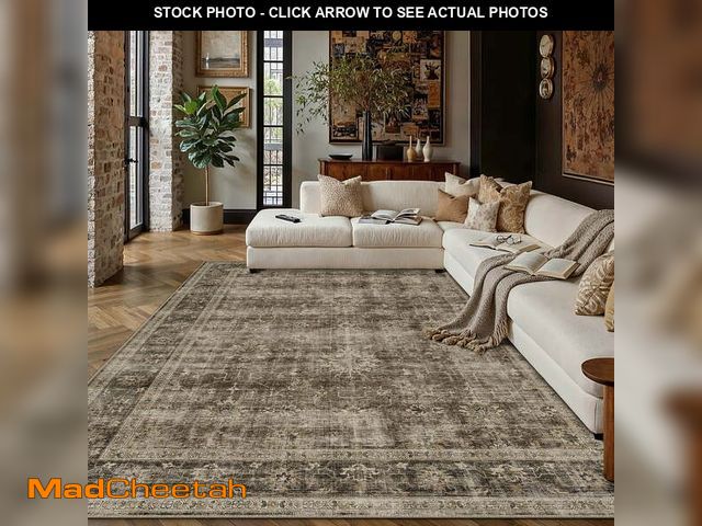 Lot 74-14286945 - BERTHMEER 5'x7' Area Rugs for Living Room Washable Bedroom Rugs Distressed Vintage Oriental Traditio...