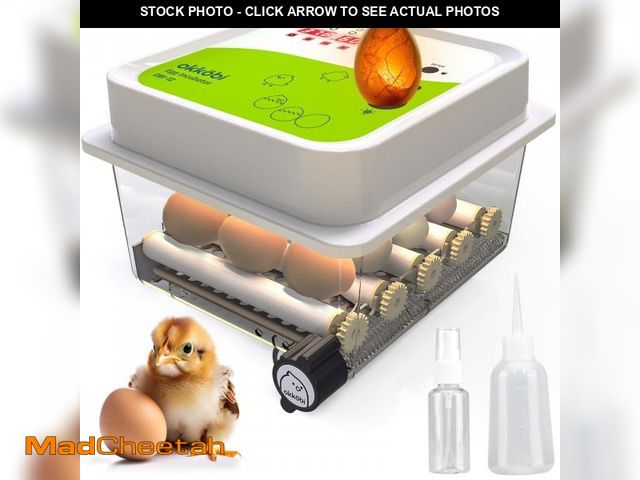 Lot 74-12116177 - Incubators for Hatching Eggs - 12 Eggs - Ideal All Ages | Egg Incubator with Automatic Egg Turning a...