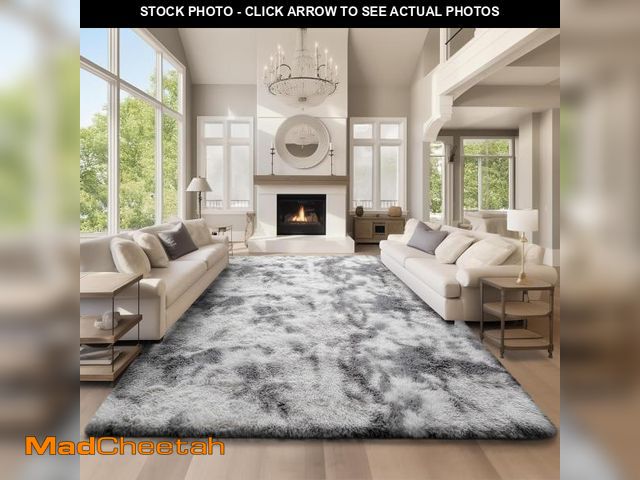 Lot 74-12139517 - Ophanie Area Rugs 9x12 Living Room, Large Tie-Dyed Grey&amp;White Bedroom Carpet, Big Shag Indoor Th...