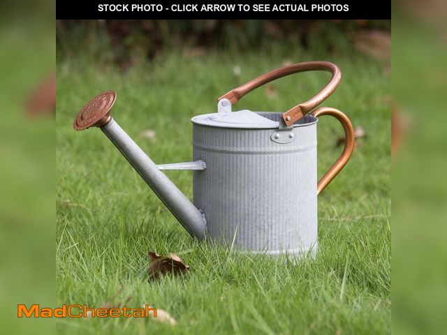Lot 74-14381463 - HORTICAN 1 Gallon Watering Can, Metal Watering Can with Removable Spout, Farmhouse Galvanzied Water ...