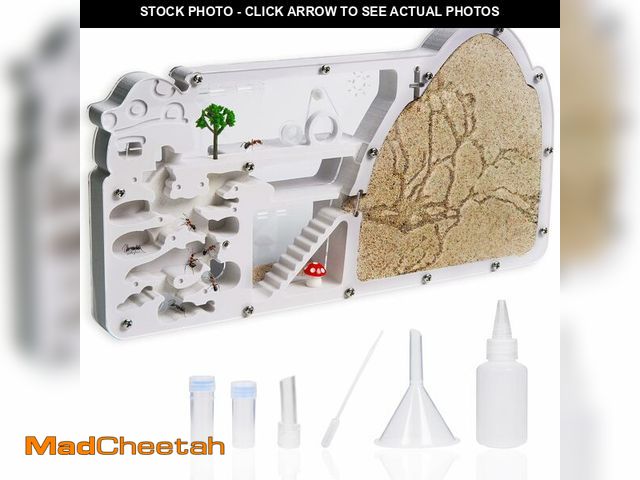 Lot 74-13540107 - Ant Farm Castle - Large Viewing Area - Care for Live Ants - Ant Colony Observation Kits with Sand Ha...