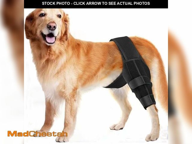 Lot 74-13720481 - TIAGOBOO Dog Knee Brace for Torn ACL Hind Leg, Adjustable Front Back Leg Support Vet-Recommended Dog...
