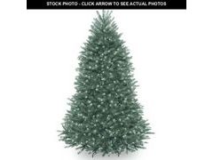 Lot 74-13016254 - undefined