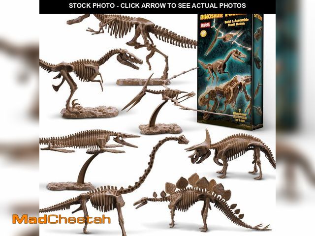 Lot 74-14145168 - Beetots 7-Pack Big Dinosaur Fossil Skeleton Building Kit | Take Apart &amp; Rebuild Dinosaur Bones M...