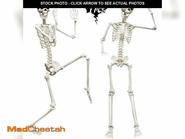 Lot 74-14424480 - CAMIRUS 5.9FT/185cm Skeleton Halloween Full Size, Life Size Skeleton with Posable Joints Glowing Eye...