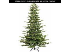 Lot 74-13582631 - undefined