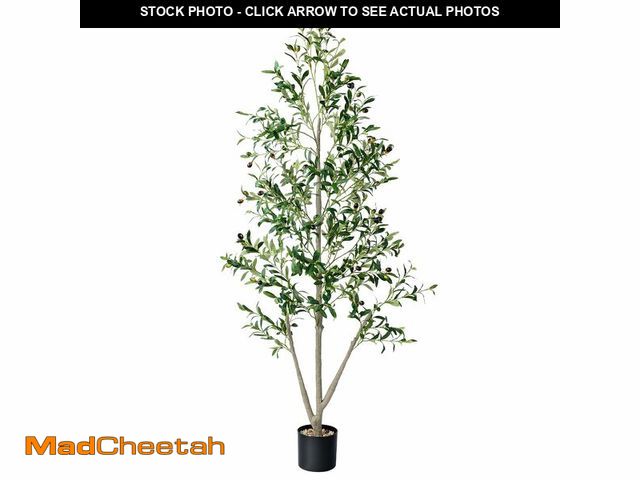 Lot 74-14337899 - Olive Trees Artificial Indoor, 6FT Tall Faux Olive Tree with Moss and Planter, Artificial Plants Ind...