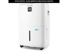 Lot 74-12690508 - undefined