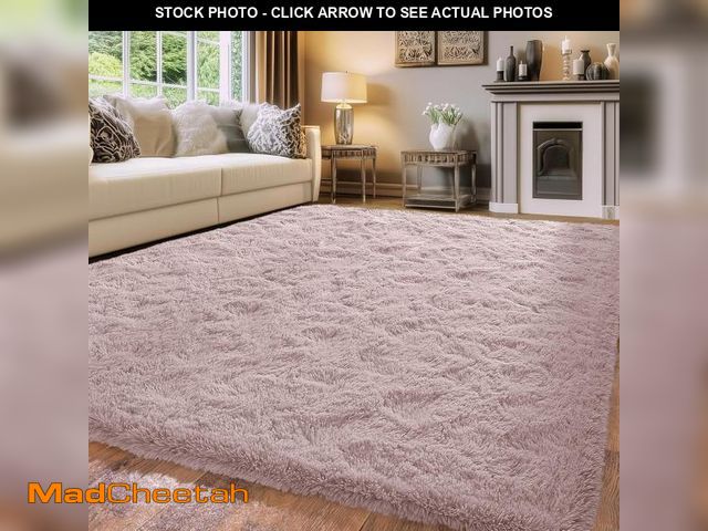 Lot 74-12510202 - FVVRAX 9x12 ft Ultra Soft Shag Area Rug - Plush Fluffy Non-Shedding Carpet for Bedroom &amp; Living ...