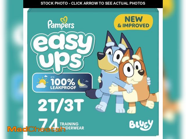 Lot 74-14582040 - Training Pants - Easy Ups Boys &amp; Girls Bluey - Size 2T-3T, 74 Count, Children's Potty Underwear ...