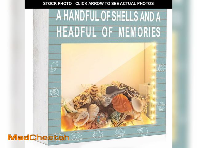 Lot 74-14149147 - Juexica Seashell Holder with Light Display Box Room Decor Ocean Themed Gifts for Christmas Display C...