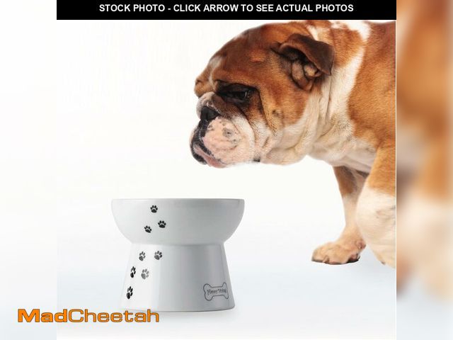 Lot 74-13717946 - Necoichi Raised Dog Food Bowl, Elevated, for dogs and cats, pets feeding feeder Non-slip for small d...