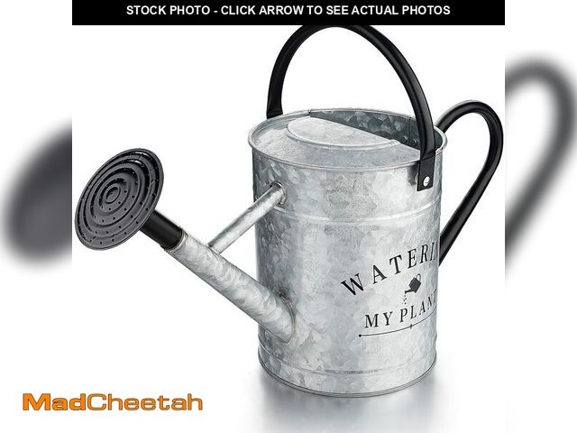 Lot 74-13625143 - Garutom Galvanized Watering Can for Outdoor Indoor Plants, 1 Gallon Decorative Countryside Style Wat...