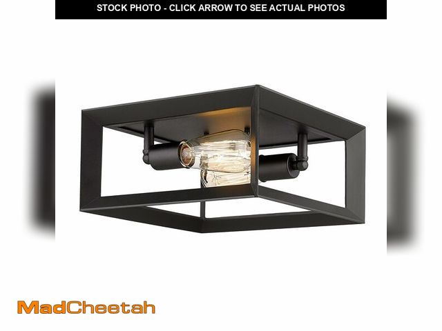 Lot 74-12971698 - Emliviar 2-Light Flush Mount Ceiling Light, 11 Inch Farmhouse Ceiling Light Fixture for Bedroom, Bla...