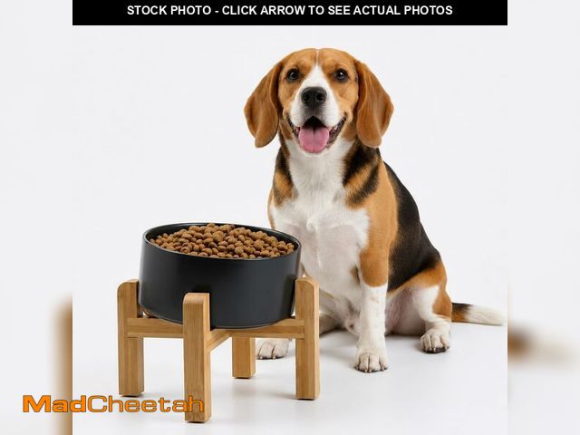 Lot 74-14479624 - Petygooing Black Elevated/Raised 15ÃÂ°Slanted Ceramic Dog Bowl for Small and Medium Breeds, Tilted ...