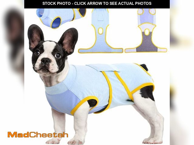 Lot 74-14428314 - Kuoser Recovery Suit for Dogs Cats, Soft Dog Surgery Suit Female Male Spay - UNUSED