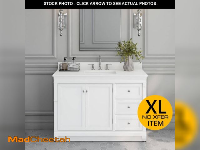 Lot 74-12683142 - Home Decorators Collection Naples 48 in. W x 21.63 in. D x 34 in. H Bath Vanity Cabinet without Top ...