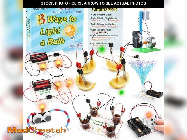 Lot 74-14213258 - Science Circuit Kit Electricity for Kids, STEM Electrical Light Bulb Experiment, Electric Science Gi...