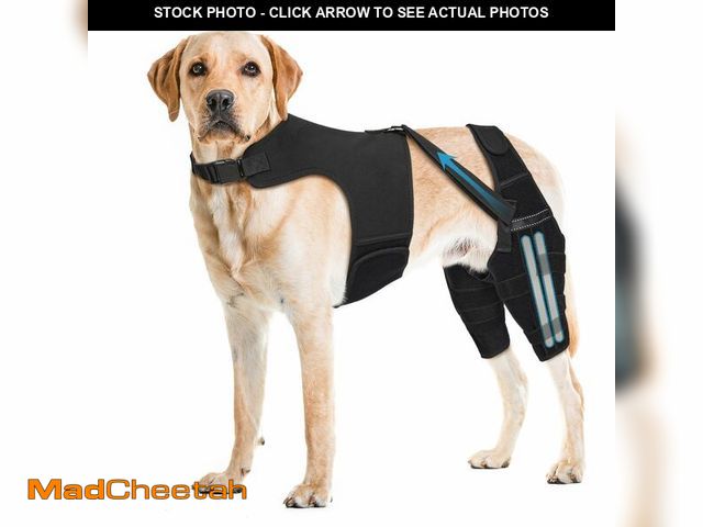 Lot 74-12711205 - Dog Knee Brace for Torn ACL Hind Leg, Adjustable Dog Leg Braces for Back Leg with 4 Metal Stabilizer...