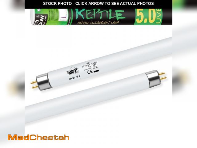 Lot 74-12419152 - LUCKY HERP T8 30W UVB 5.0 Reptile Light, UVA UVB Reptile Light Bulb 2 Pack, Fluorescent Lamp for Rep...