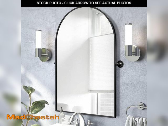 Lot 74-12360033 - Dovelina 24 in. W x 36 in. H Arched Metal Framed Pivoted Wall Vanity Mirror - UNUSED