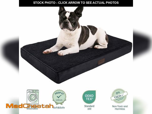 Lot 74-12837164 - OhGeni Orthopedic Medium Dog Bed, Deluxe Cat Bed for Crates, Waterproof and Washable, 25D Egg Crate ...
