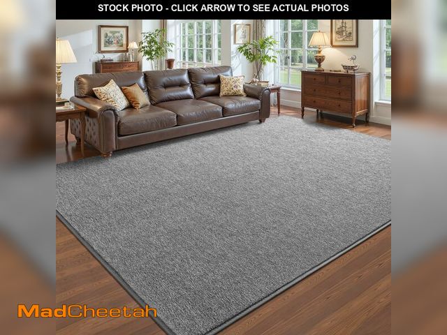 Lot 74-13628840 - Pettop 4x6 Grey Area Rugs for Living Room Bedroom, Thickened Memory-Foam Throw Carpet, Modern Minima...