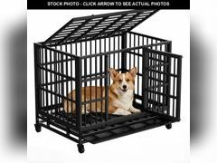 Lot 74-13674054 - undefined