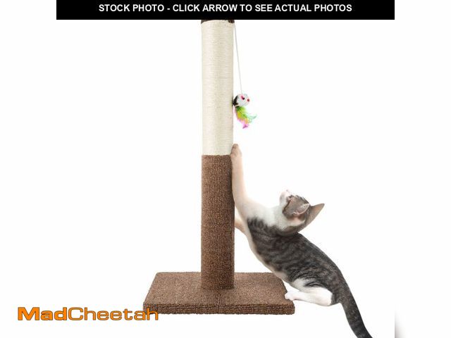 Lot 74-12715936 - PETMAKER Cat Scratching Post - Tall Scratcher for Cats and Kittens with Sisal Rope and Carpet, Hangi...