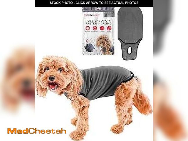 Lot 74-12125121 - BellyGuard Recovery Suit for Dogs, Comfy Dog Surgery Suit, Female Spay and Male Neuter Onesie for Po...