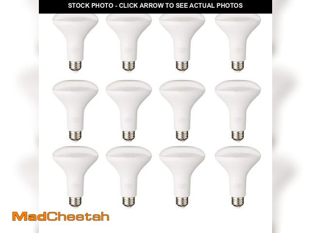 Lot 74-12901613 - PRIVATE BRAND UNBRANDED 65-Watt Equivalent BR30 Dimmable Flood LED Light Bulb Soft White (12-Pack) -...