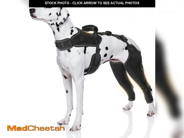 Lot 74-12192985 - Dog Leg Braces for Back Leg - Keeps Joints Warm and Stable, Upgraded Adjustable Leg and Hip, Dogs Re...