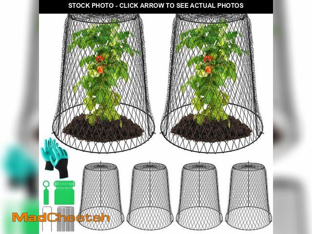 Lot 74-14056127 - 6 Packs 13.4"x12" Garden Cloches for Plants, Plant Protectors from Animals,Plant Cages for Outdoor P...