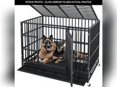 Lot 74-13055723 - undefined