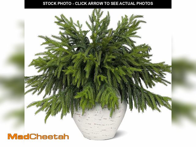 Lot 74-12713537 - Juxdp 40 Pcs Real Touch Norfolk Pine Branches, Artificial Christmas Green Plants Branch Faux Greener...