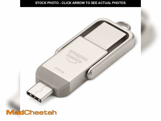 Lot 74-13540566 - Basics 256GB USB Flash Drive, Thumb Drive Memory Stick with USB C and USB A Dual Ports, Champagne Si...