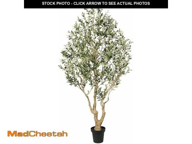 Lot 74-14250775 - FEELEAD Olive Trees Artificial Indoor 7ft - Faux Olive Tree 7 Feet with Natural Looking Trunk, Reali...