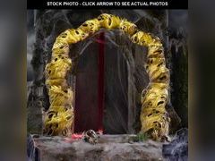 Lot 74-12829384 - undefined