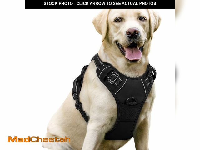 Lot 74-14063863 - rabbitgoo Dog Harness No Pull with 2 Leash Clips, Adjustable Soft Padded, Reflective Oxford No Choke...