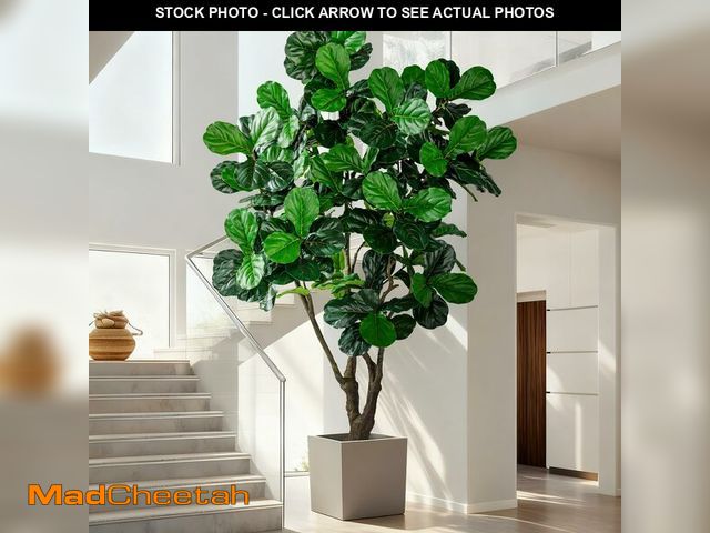 Lot 74-13791314 - Large Artificial Trees with Pot Indoor Outdoor Realistic Floor Fake plantas Tall Faux Fiddle Leaf fi...