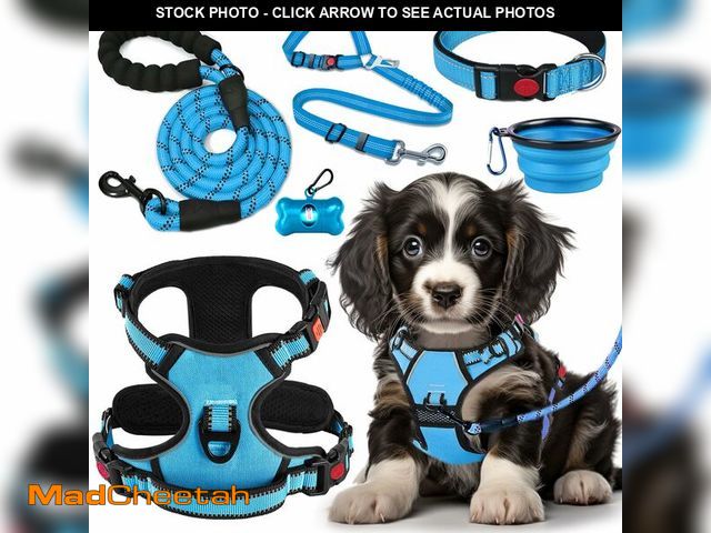 Lot 74-12604941 - LOBEVE No Pull Dog Harness, Collar &amp; Leash Set | Includes Dog Seat Belt, Collapsible Bowls &amp;...