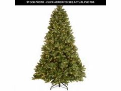 Lot 74-12785474 - undefined