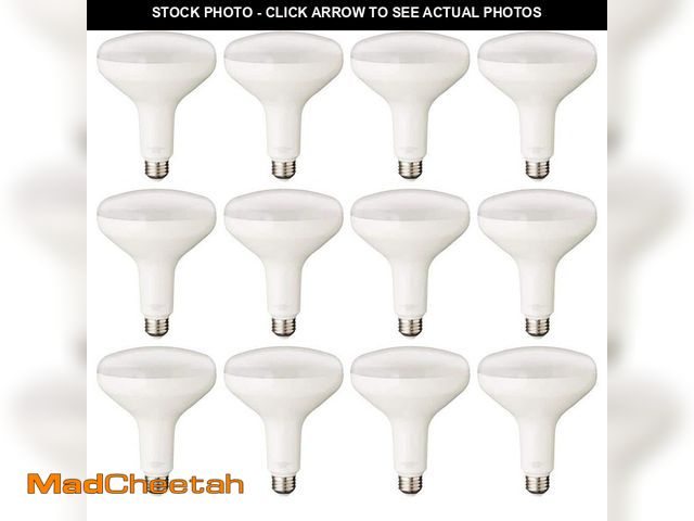 Lot 74-12775434 - PRIVATE BRAND UNBRANDED 75-Watt Equivalent BR40 Dimmable LED Light Bulb Daylight (12-Pack) - UNUSED