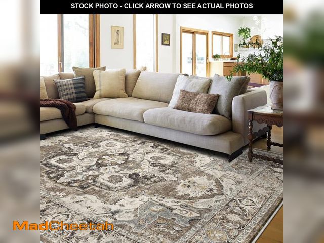 Lot 74-12142777 - YOUFORTONG Washable 8x10 Area Rugs: Rugs for Living Room Ultra Soft Carpet for Bedroom Waterproof Ru...