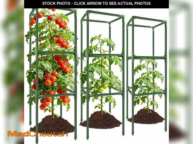 Lot 74-14377091 - 3 Pack 49'' Square Tomato Cages, Heavy-Duty Steel Garden Trellis Kit - UNUSED