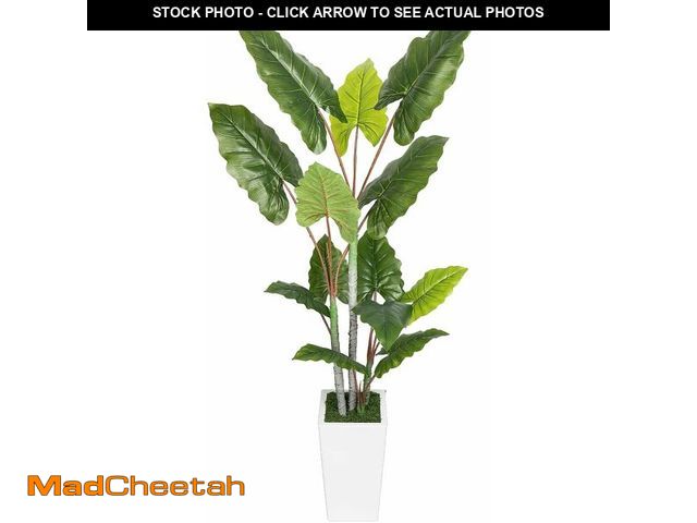 Lot 74-13709175 - Artificial Plant Indoor 5.5FT - Fake Tree with White Tall Planter - Faux Silk Plants Tall Fake Floor...